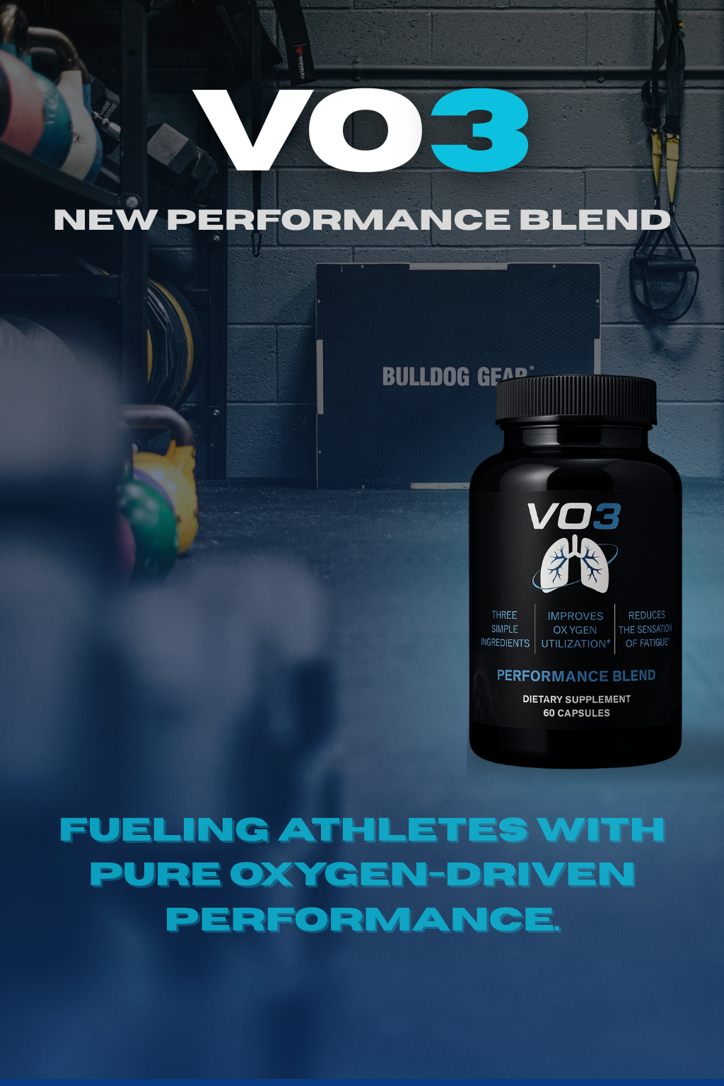 VO3